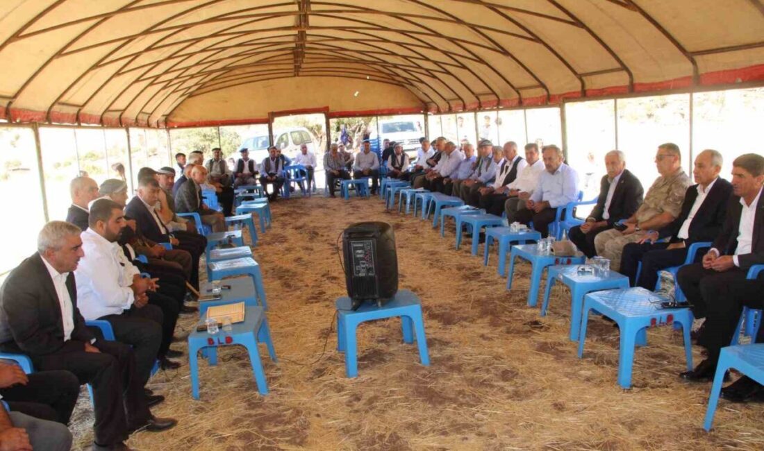 Şırnak merkeze bağlı Güneyce köyü Çiftekavak (Berman) mezrasında 38 yıl