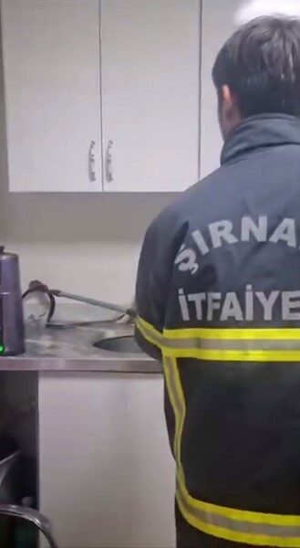 Şırnak’ta bir iş yerine giren yılan paniğe neden oldu. Şırnak