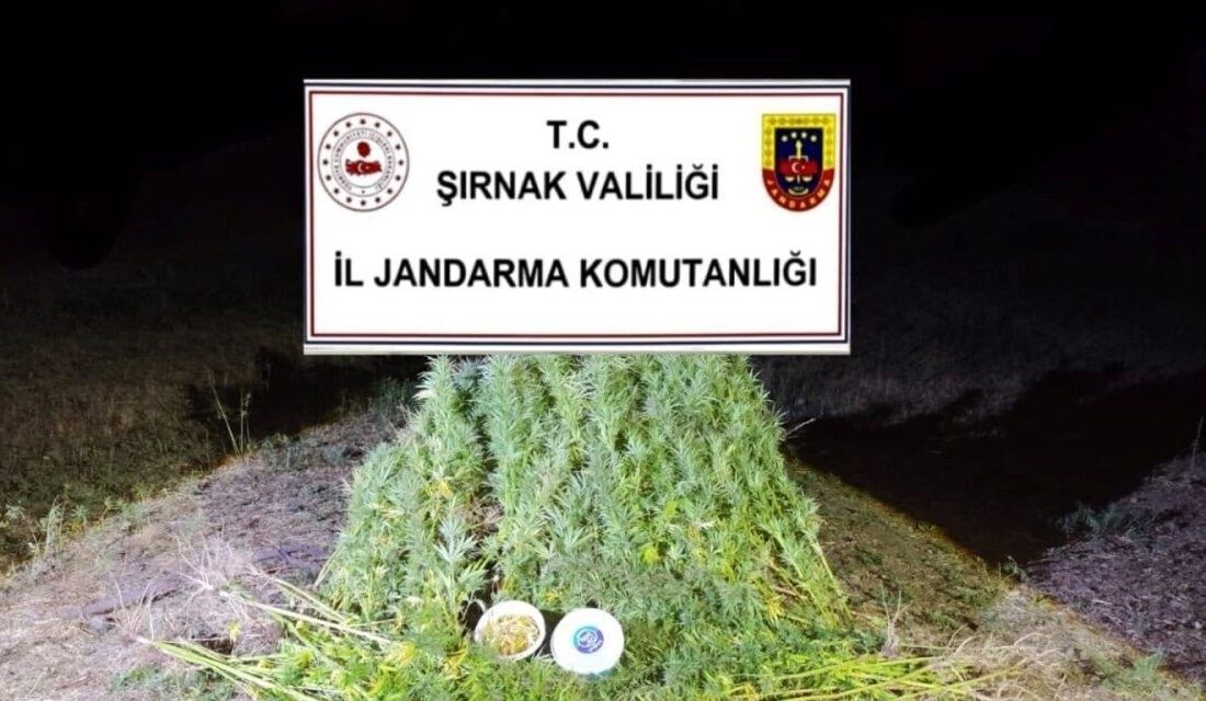 Şırnak’ta İl Jandarma Komutanlığı ekiplerince son bir haftada düzenlenen kaçakçılık