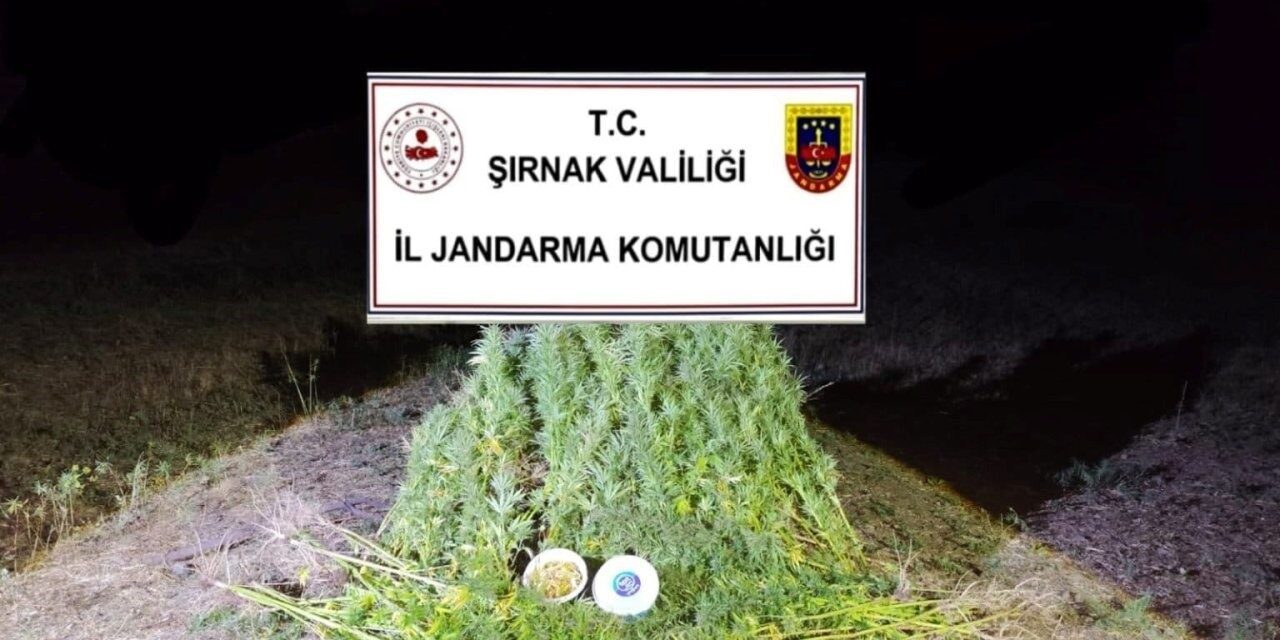 Şırnak’ta İl Jandarma Komutanlığı ekiplerince son bir haftada düzenlenen kaçakçılık