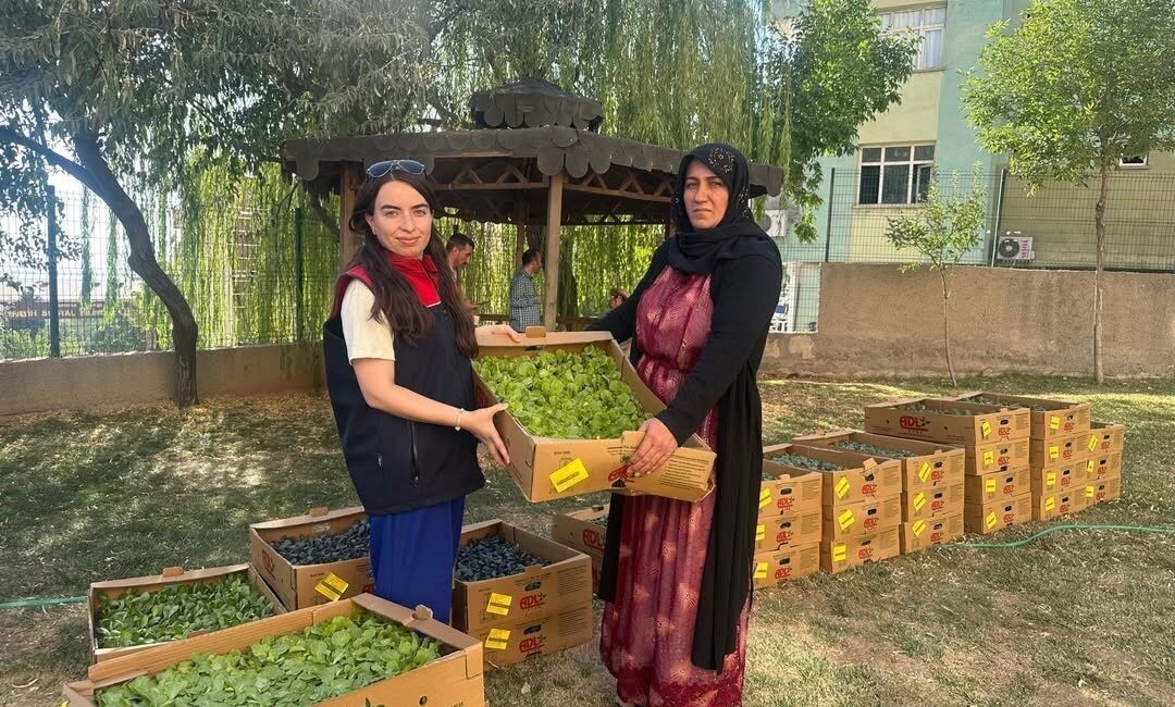 Şırnak’ta Tarım Arazilerinin Kullanımının Etkinleştirilmesi (TAKE) Projesi kapsamında 19 üreticiye