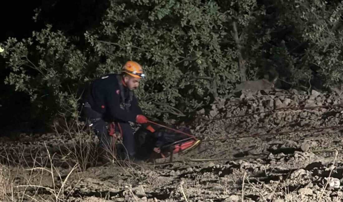 Sivas’ın Doğanşar ilçesinde otomobilin uçuruma yuvarlandığı kazada 4 kişi hayatını