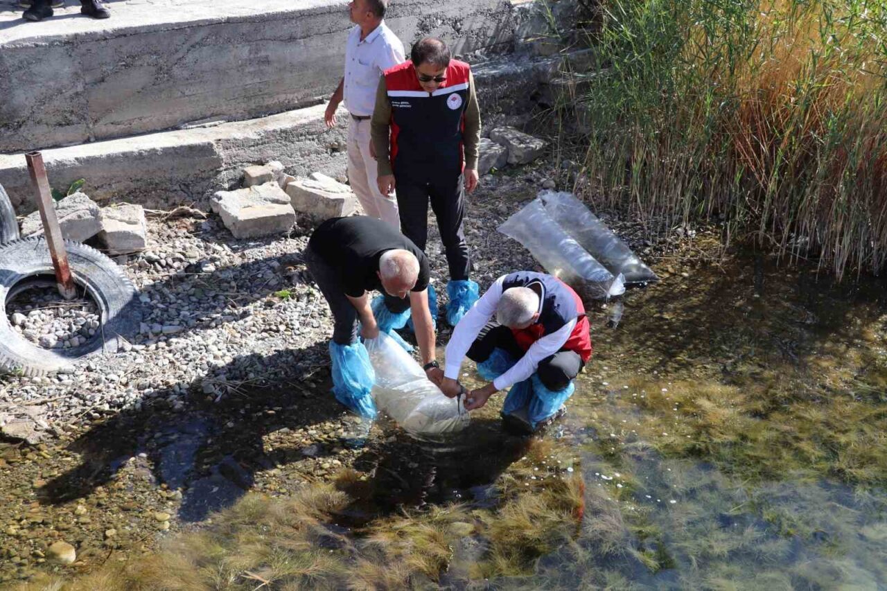 Sivas’ta bulunan 31 göl ve gölete, 1 milyon 268 bin