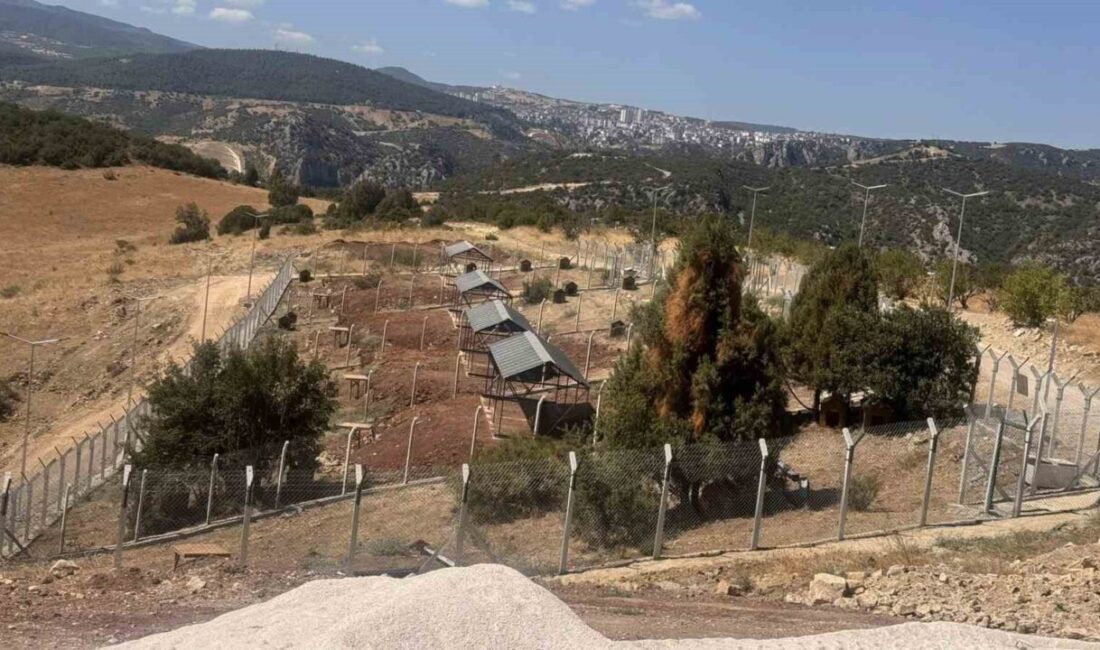 Bilecik İl Özel İdaresi tarafından yapımı gerçekleştirilen Sokak Hayvanları Doğal