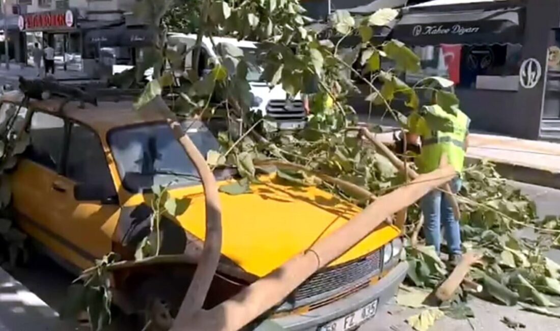 Aydın’ın Söke ilçesinde kırılan bir ağacın dalı park halindeki otomobilin