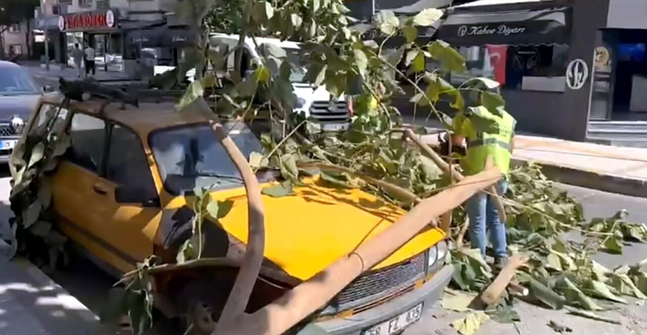 Aydın’ın Söke ilçesinde kırılan bir ağacın dalı park halindeki otomobilin
