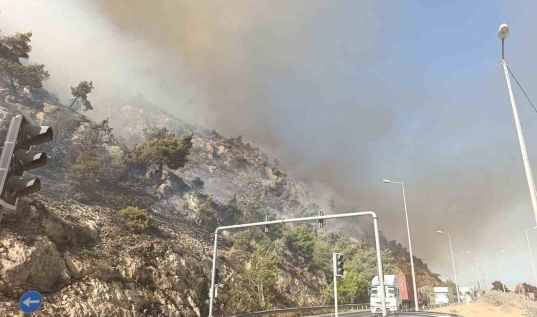 Aydın’ın Söke ilçesinde makilik alanda çıkan yangında söndürme çalışmaları havadan