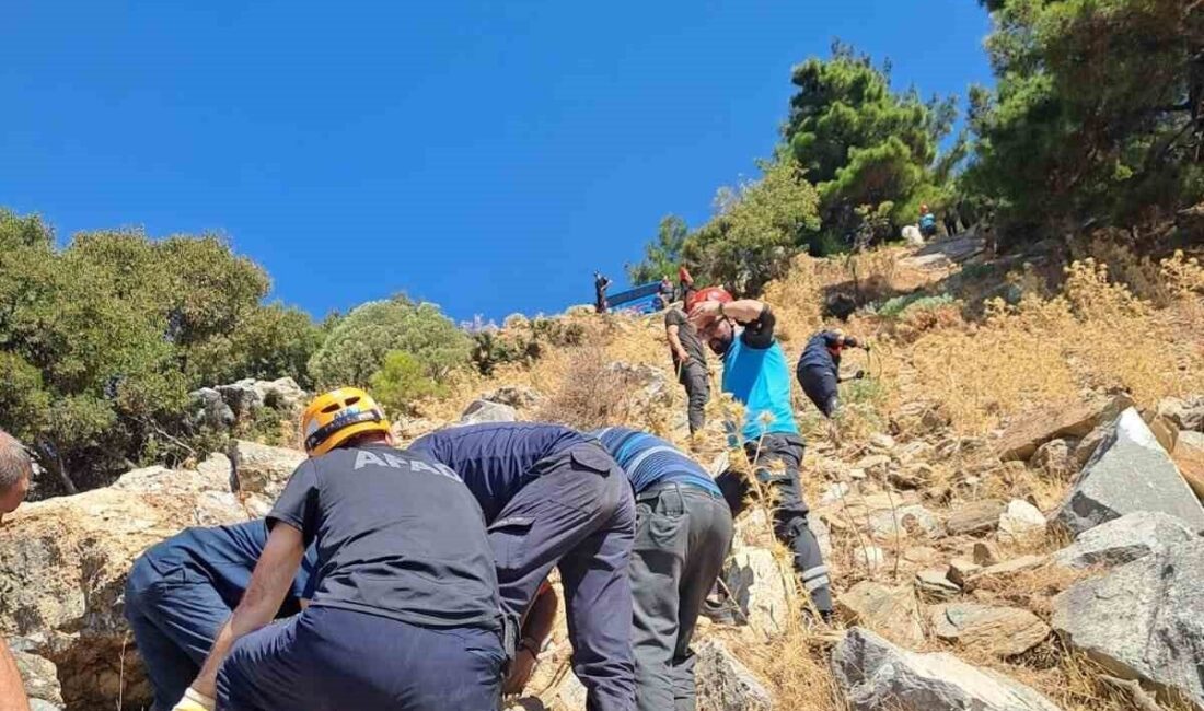 Aydın’ın Söke ilçesinde 37 yaşındaki Ramazan Demiryürek, yaklaşık 100 metrelik