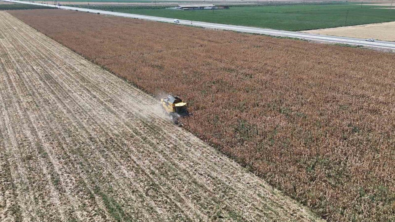 HATAY (İHA) – Hatay’da kurak geçen yaz mevsiminde devam eden