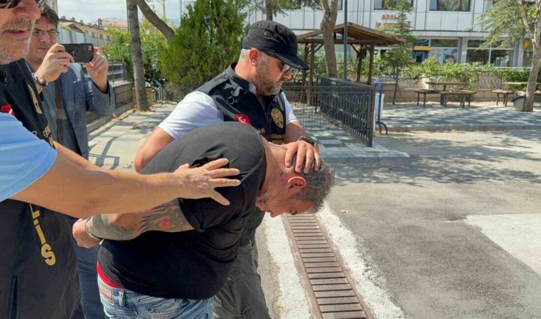 Afyonkarahisar Valisi Doç. Dr. Kübra Güran Yiğitbaşı’nın sokak hayvanları ile