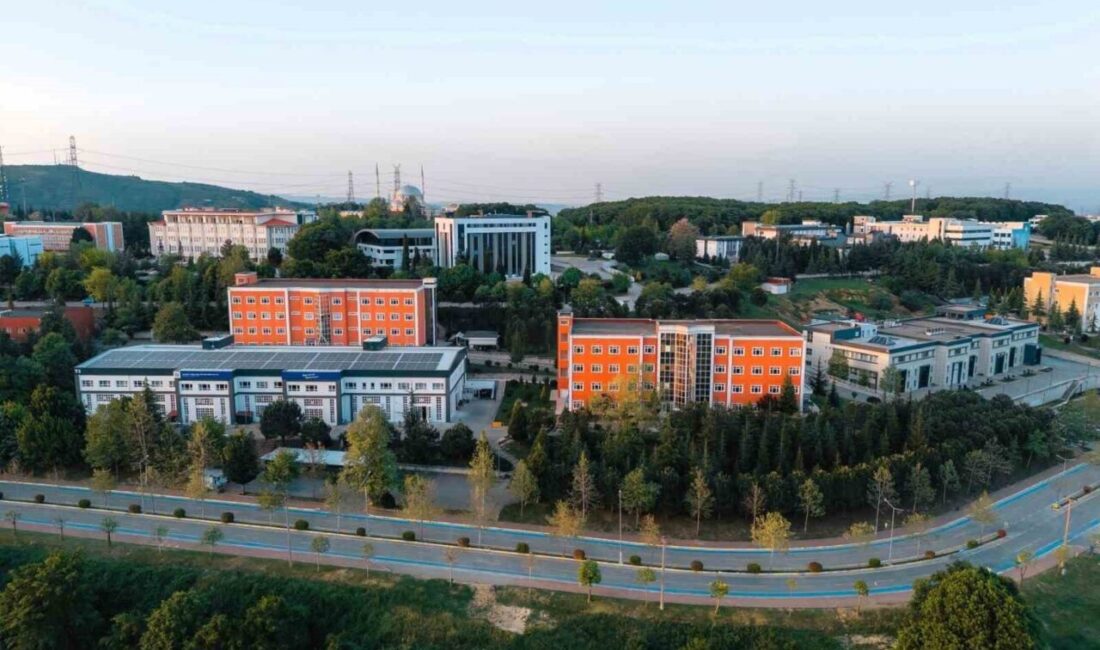 Stanford Üniversitesi ve Elsevier Yayınevi tarafından hazırlanan ‘Dünyanın En Etkili