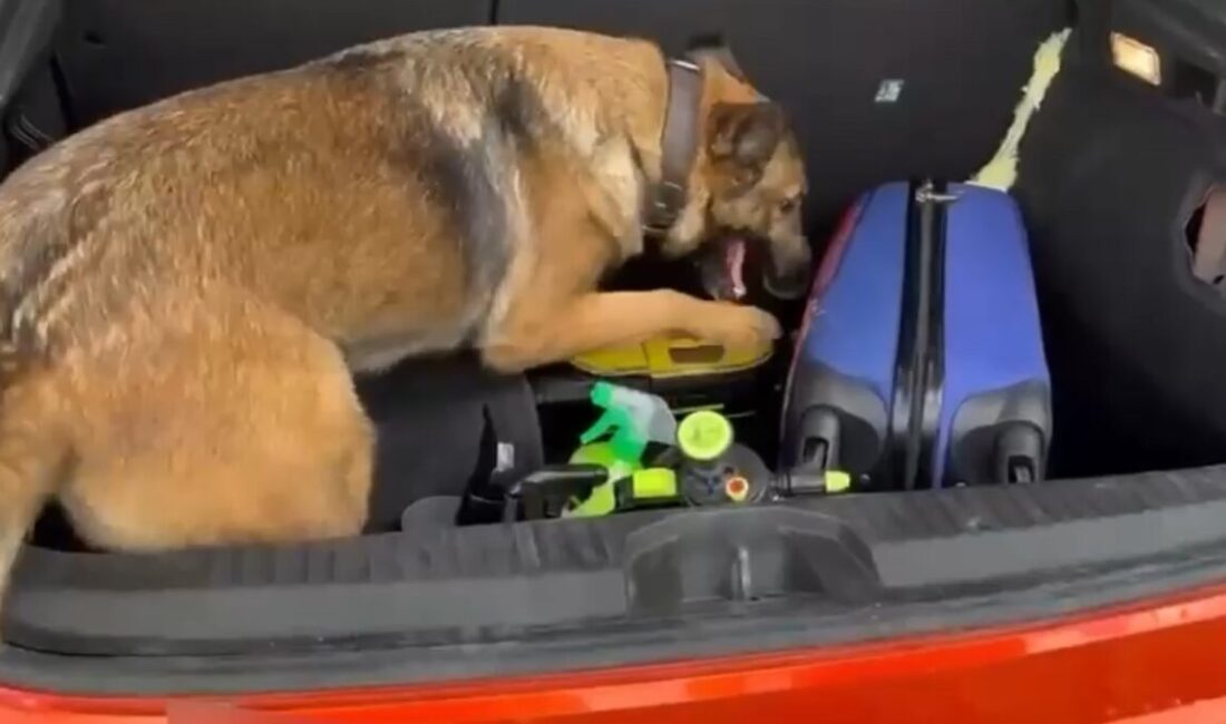 Samsun’da narkotik polisinin takibi sonucu durdurularak arama yapılan bir araçta,