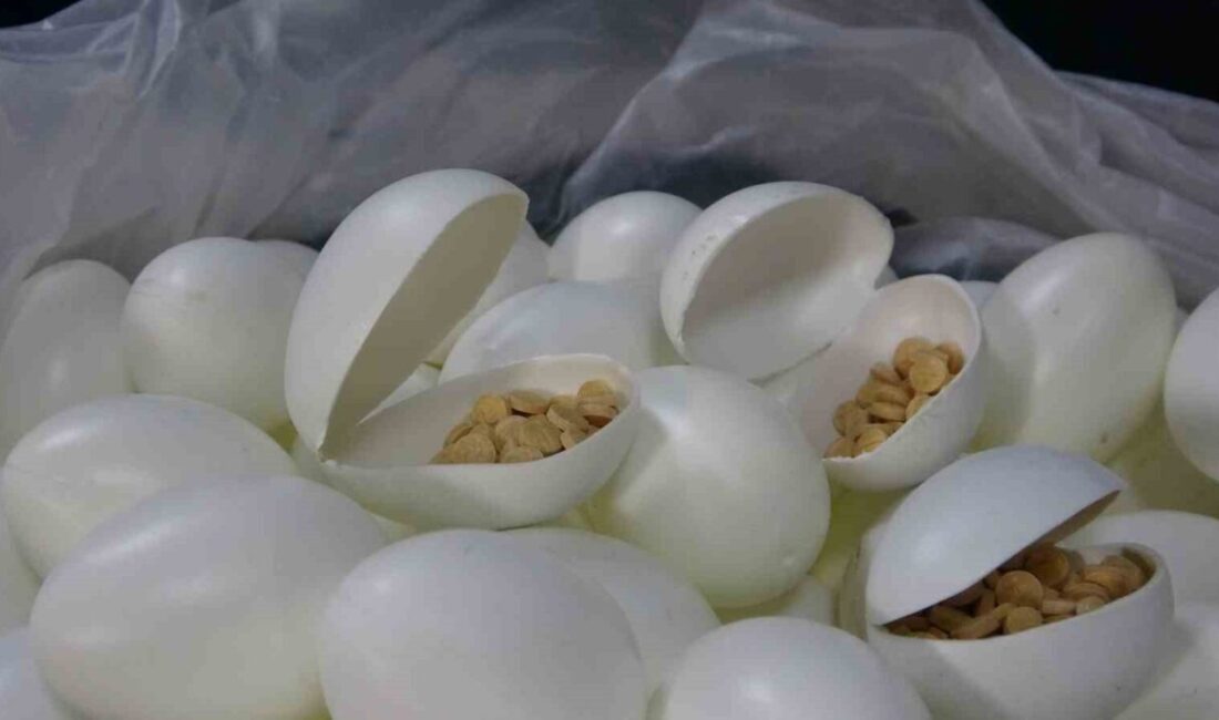 Mersin polisinin düzenlediği operasyonda ele geçirilen 3 milyon 542 bin