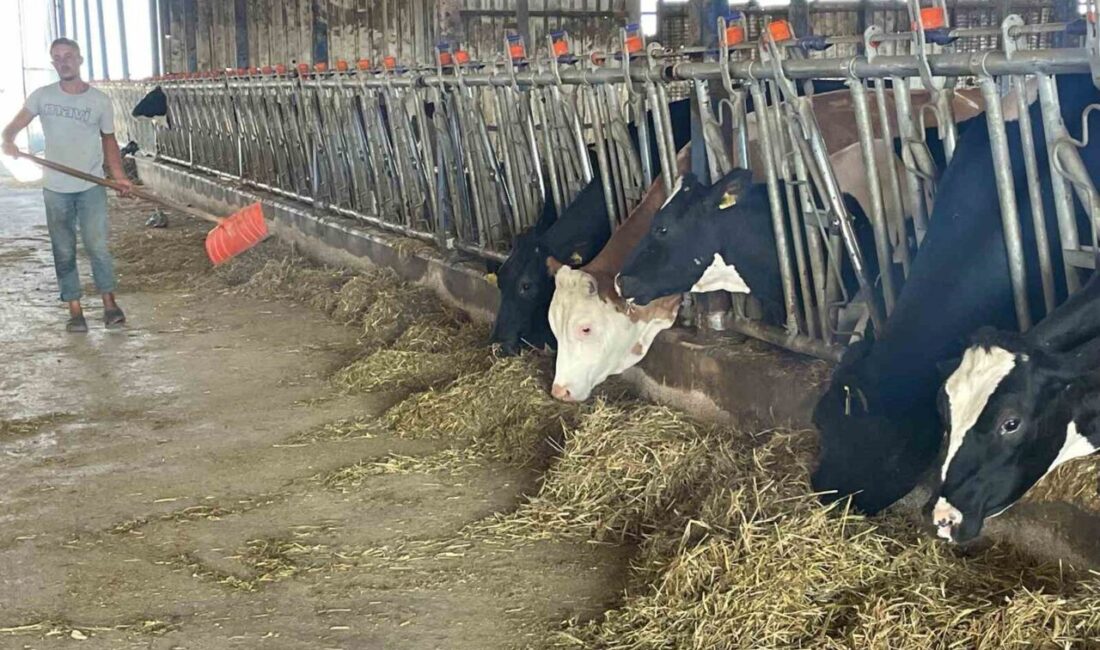 Bursalı süt üreticileri, rekabet kurulunun süt sektöründeki 39 teşebbüs hakkında