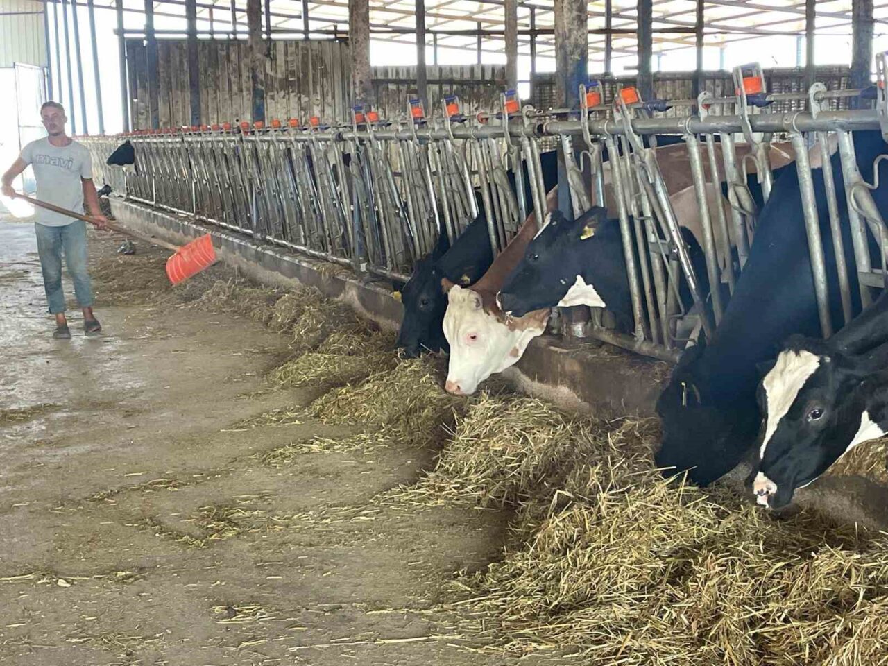 Bursalı süt üreticileri, rekabet kurulunun süt sektöründeki 39 teşebbüs hakkında