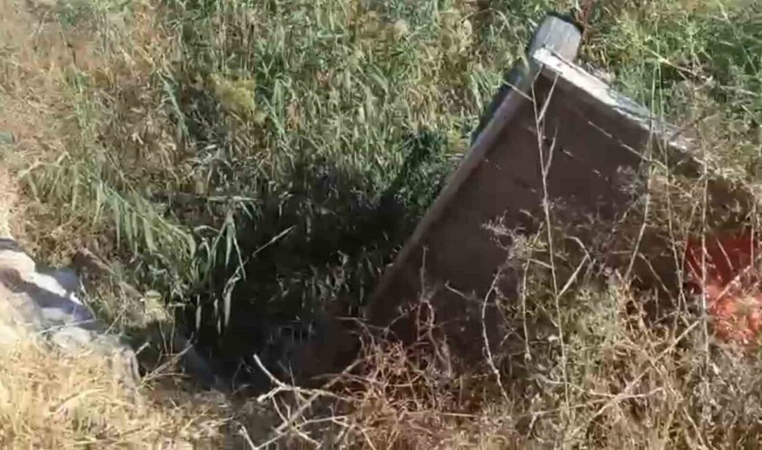 Şanlıurfa’nın Haliliye ilçesinde tahliye kanalına düşen at, itfaiye ekipleri tarafından