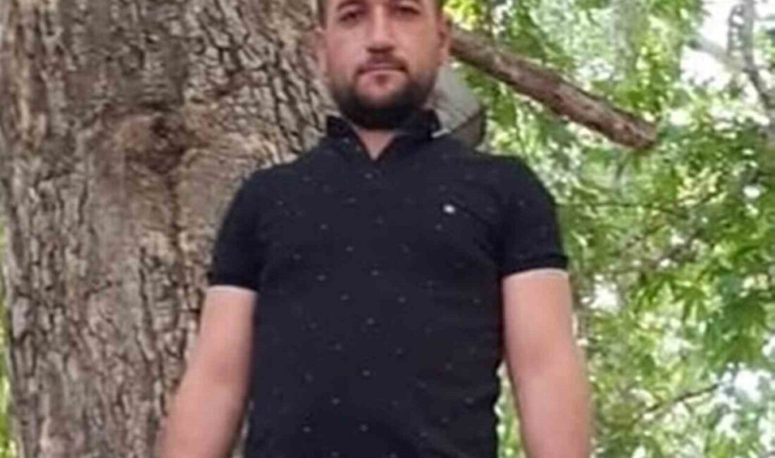 Mersin’in Mut ilçesinde taktak olarak bilinen tarım aracının devrilmesi sonucu