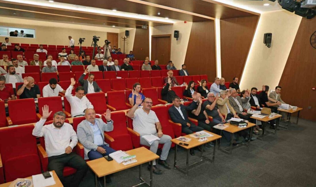 Talas Belediye Meclisi toplanarak gündeminde bulunan konuları karara bağladı. Belediye