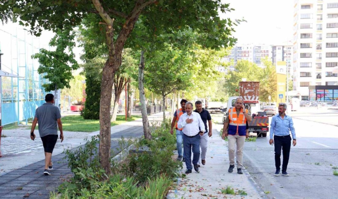 Talas Belediyesi’nin 6 yıl önce kırsal mahallelerde başlattığı ve Türkiye