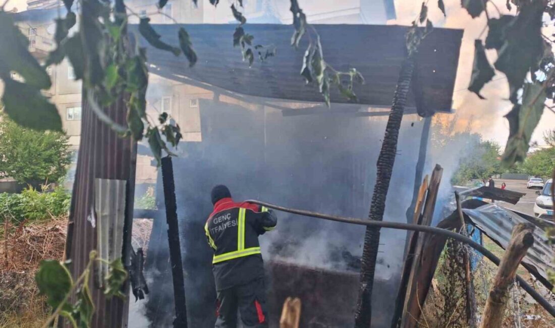 BİNGÖL (İHA) – Bingöl’ün Genç ilçesinde tandırda unutulan köz yangına