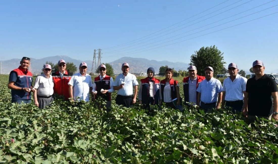 Beraberindeki heyet ile pamuk tarlalarında incelemelerde bulunan Aydın Tarım ve