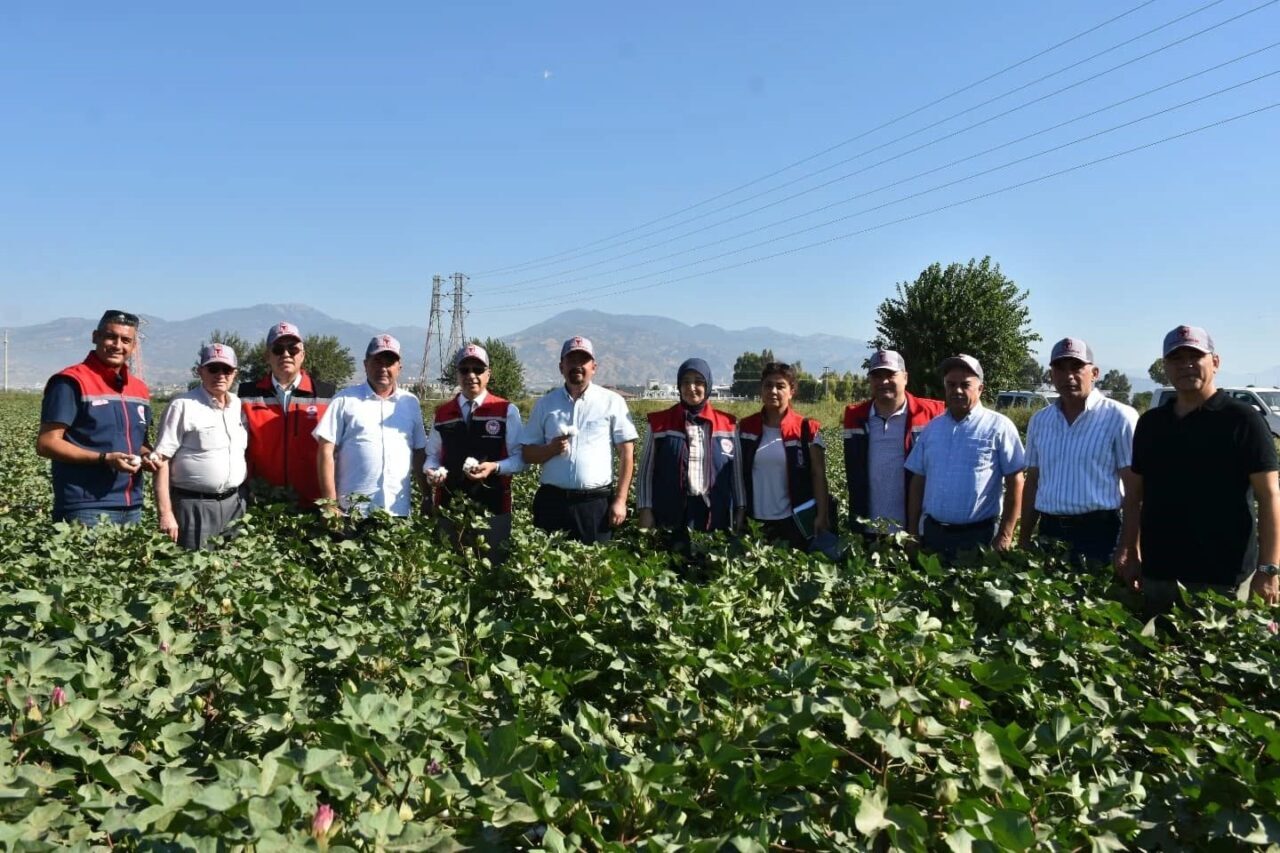 Beraberindeki heyet ile pamuk tarlalarında incelemelerde bulunan Aydın Tarım ve