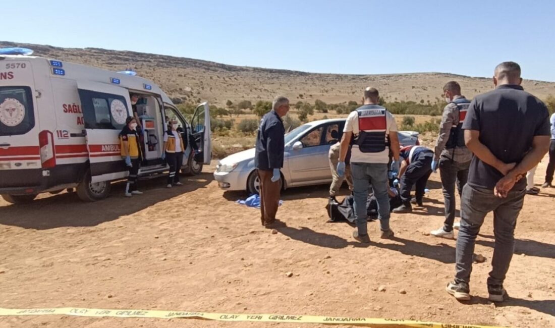 Gaziantep Tarım ve Orman İl Müdürlüğü’ünde ziraat teknikeri olarak görev