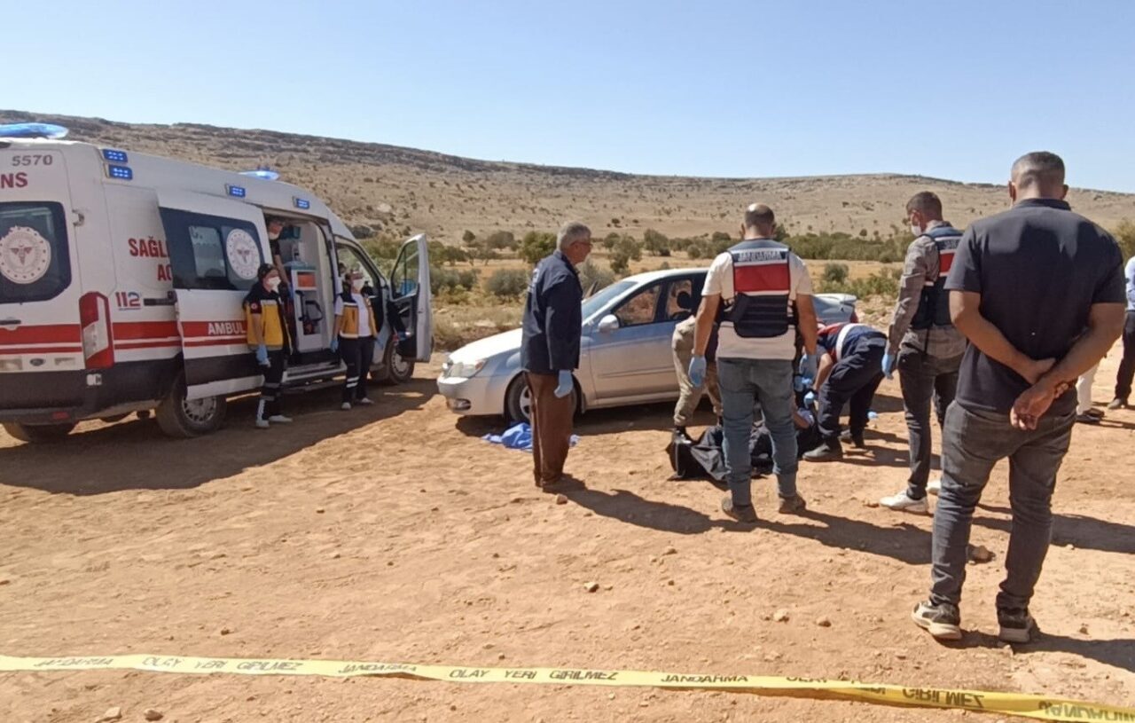 Gaziantep Tarım ve Orman İl Müdürlüğü’ünde ziraat teknikeri olarak görev