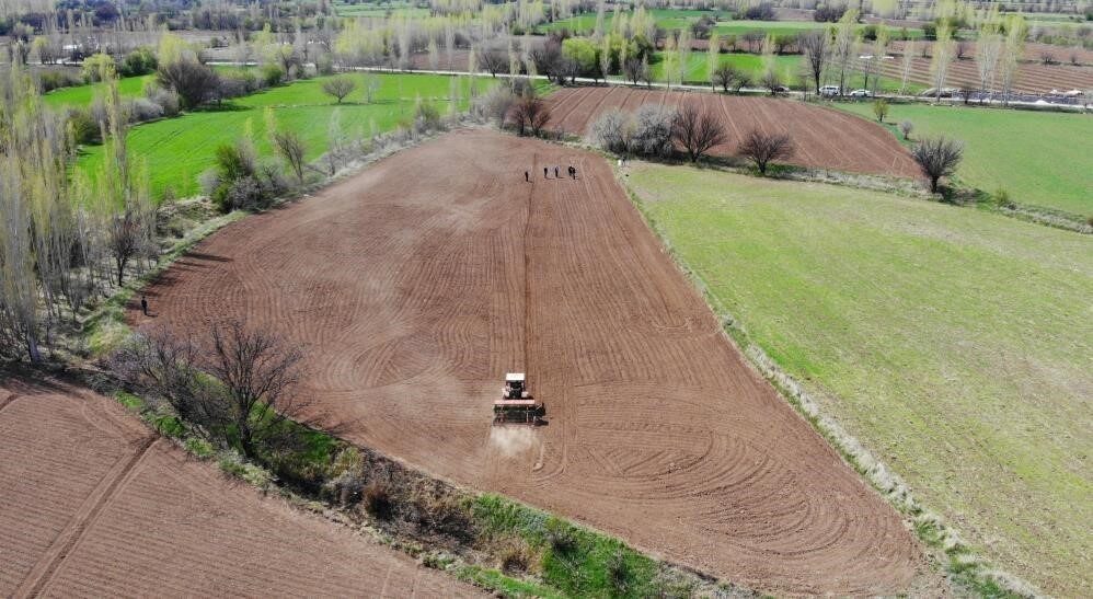 Tarım ürünleri üretici fiyat endeksi (Tarım-ÜFE) yıllık yüzde 41,55 arttı,