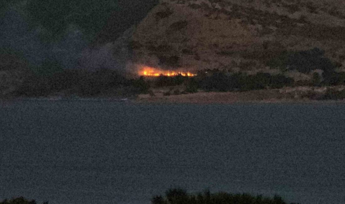 Bitlis’in Tatvan ilçesine bağlı Hanelmalı köyüne yakın ormanlık alanda yangın