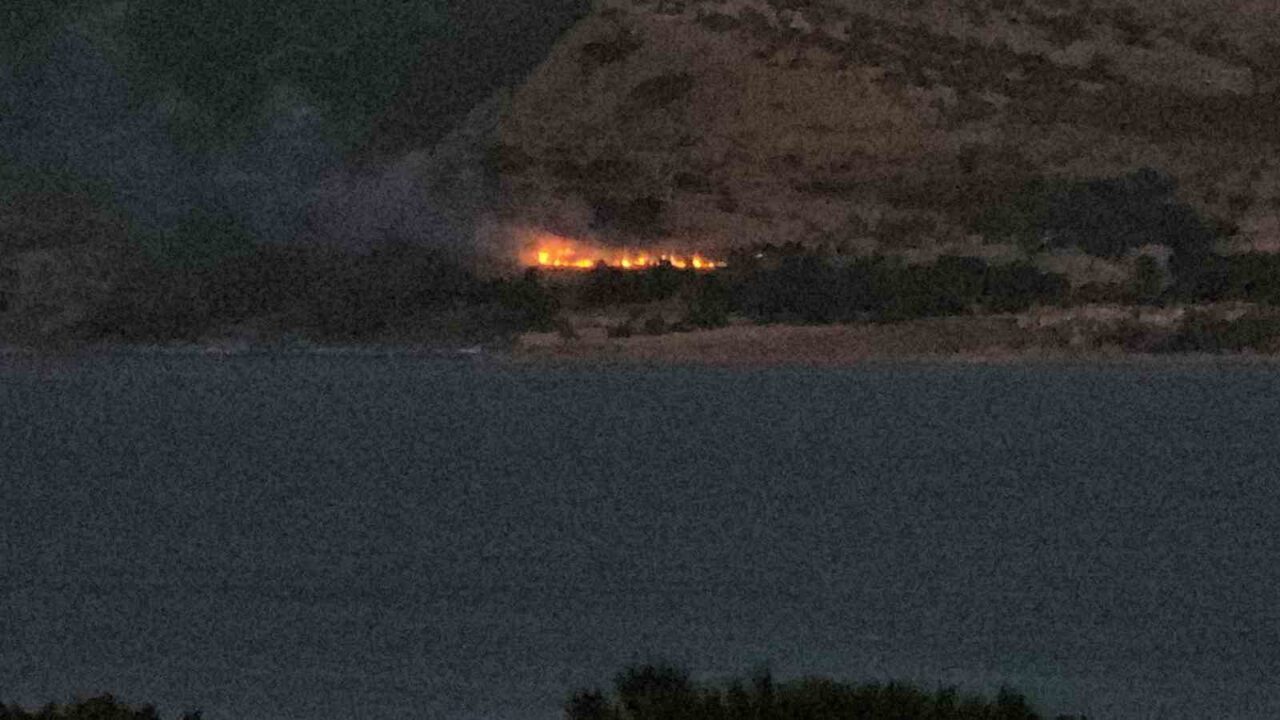 Bitlis’in Tatvan ilçesine bağlı Hanelmalı köyüne yakın ormanlık alanda yangın