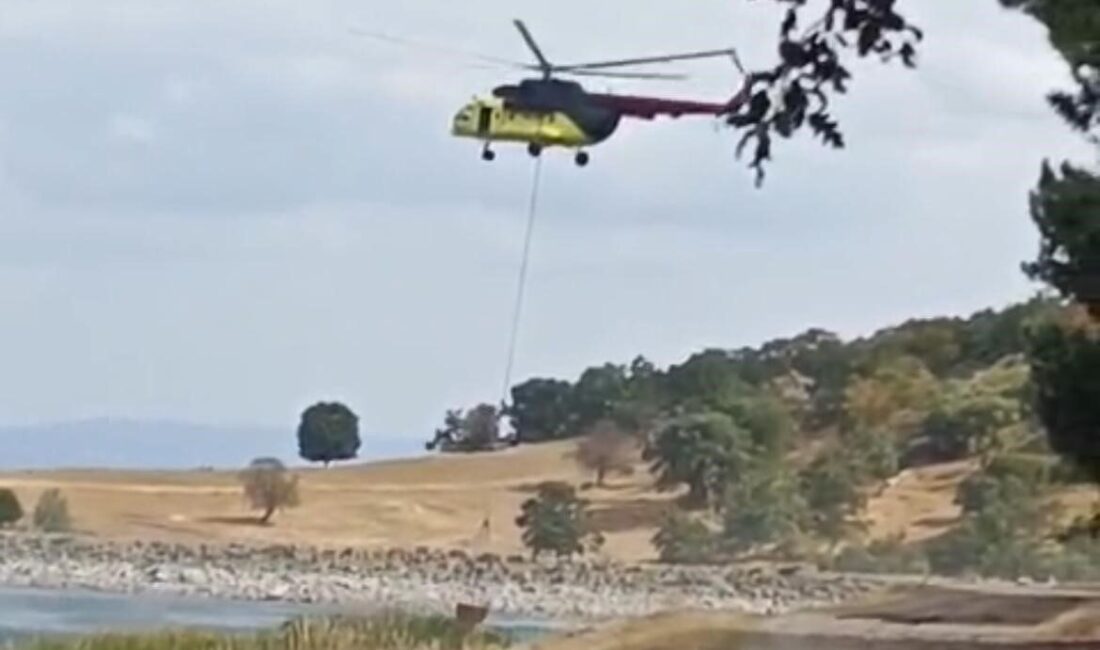 Kütahya’nın Tavşanlı ilçesinde yıldırım düşmesi sonucu çıkan yangın kısa sürede