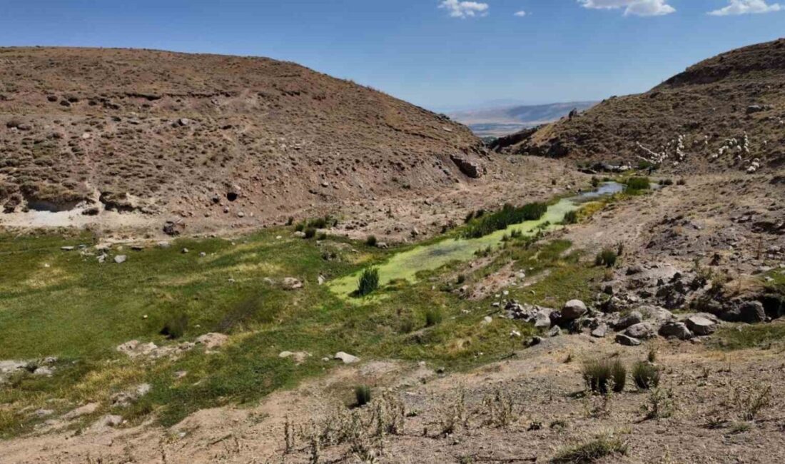 Van’ın Erciş ilçesi Pınarlı ve Düvenci mahalleleri sınırında bulunan Meydan