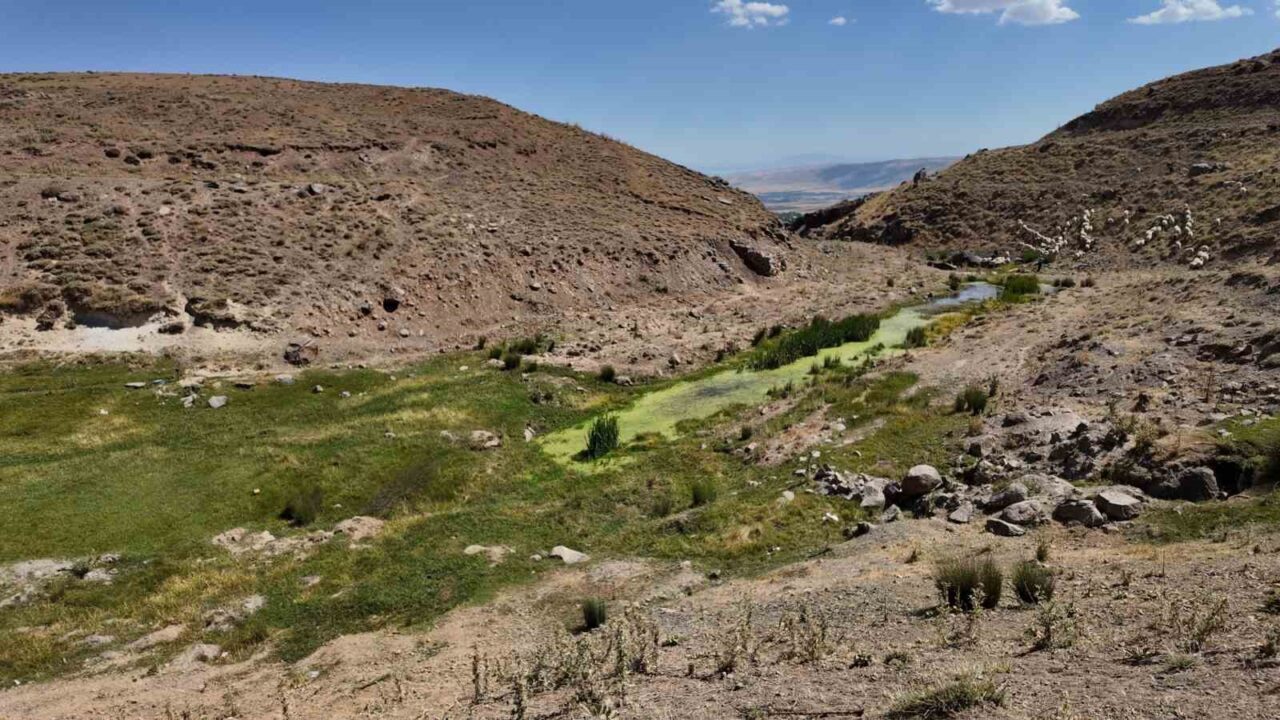 Van’ın Erciş ilçesi Pınarlı ve Düvenci mahalleleri sınırında bulunan Meydan