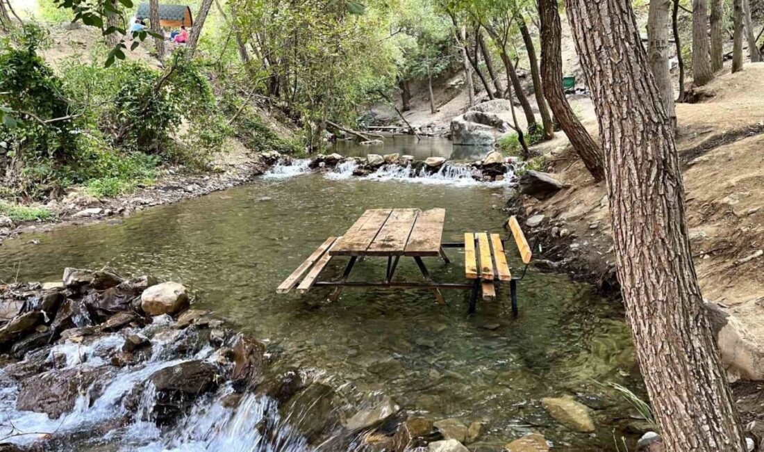 Elazığ’ın Palu ilçesinde bulunan Teke Deresi, serin havası ve doğal