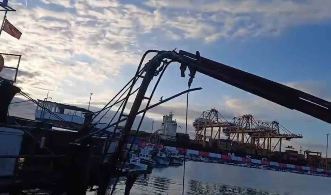 Tekirdağ’ın Süleymanpaşa ilçesine bağlı Barbaros Mahallesi’nde balıkçılar, Marmara Denizi’nde yeniden