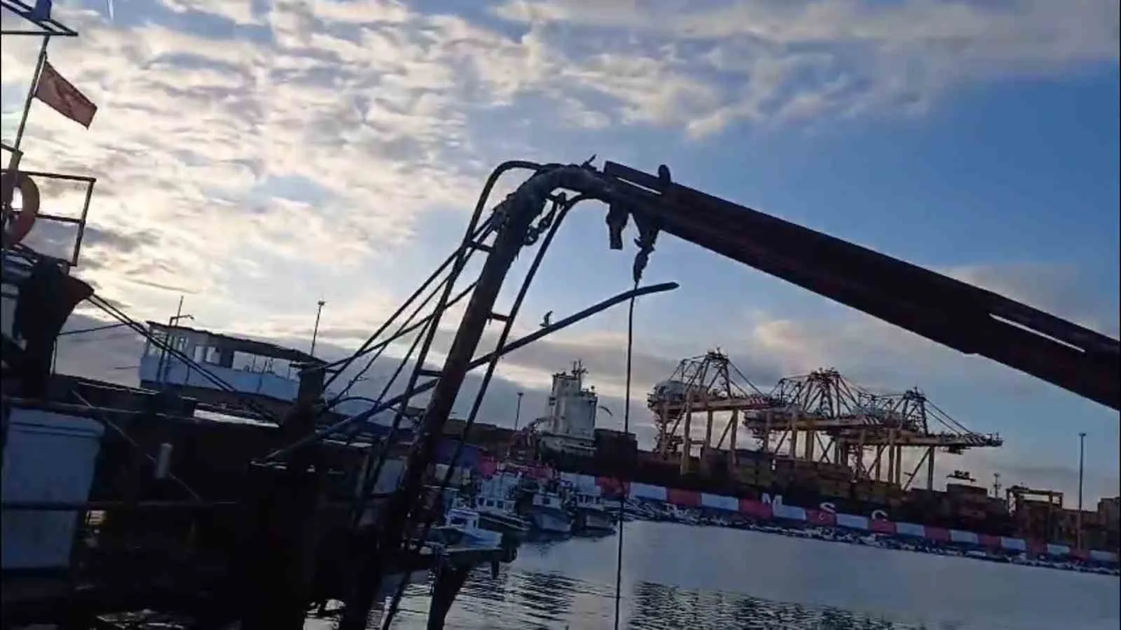 Tekirdağ’ın Süleymanpaşa ilçesine bağlı Barbaros Mahallesi’nde balıkçılar, Marmara Denizi’nde yeniden