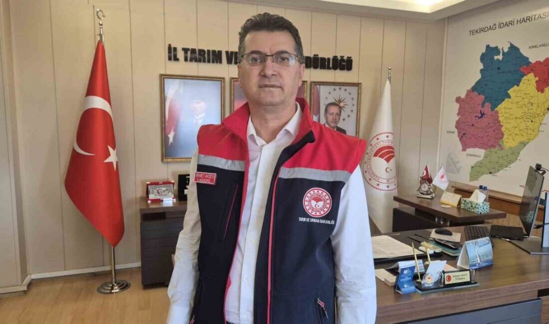 Tekirdağ Tarım ve Orman İl Müdürü Mehmet Aksoy, don olaylarından