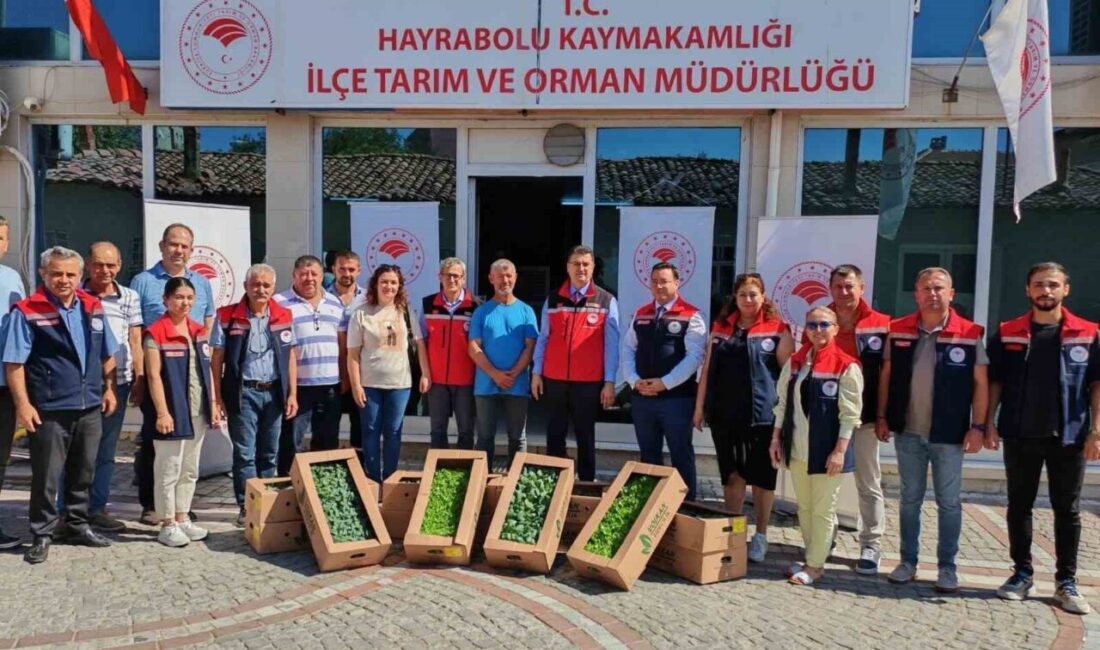 Tekirdağ’ın Hayrabolu ilçesinde üreticilere 212 bin 100 adet kışlık sebze