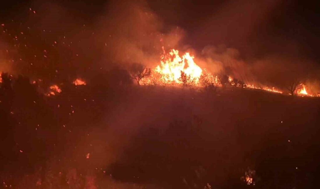 Tekirdağ’ın Süleymanpaşa ilçesinde ağaçlık alanda çıkan ve rüzgarın etkisiyle yayılan