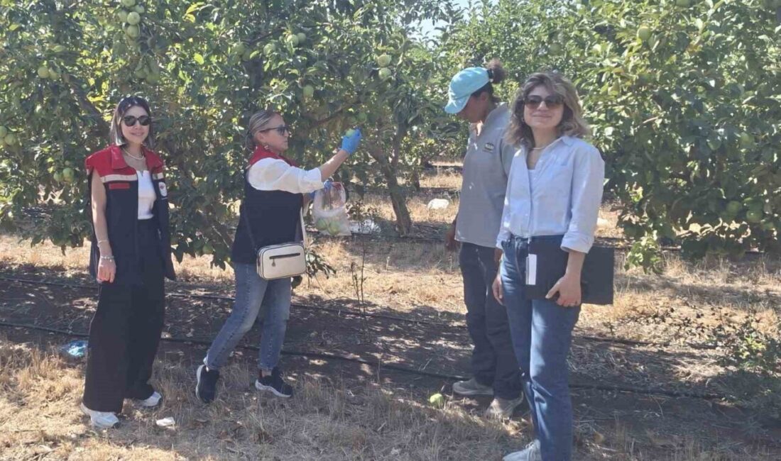 Tekirdağ’da hasat öncesi pestisit denetimleri yapılıyor. Tarım ve Orman Bakanlığı