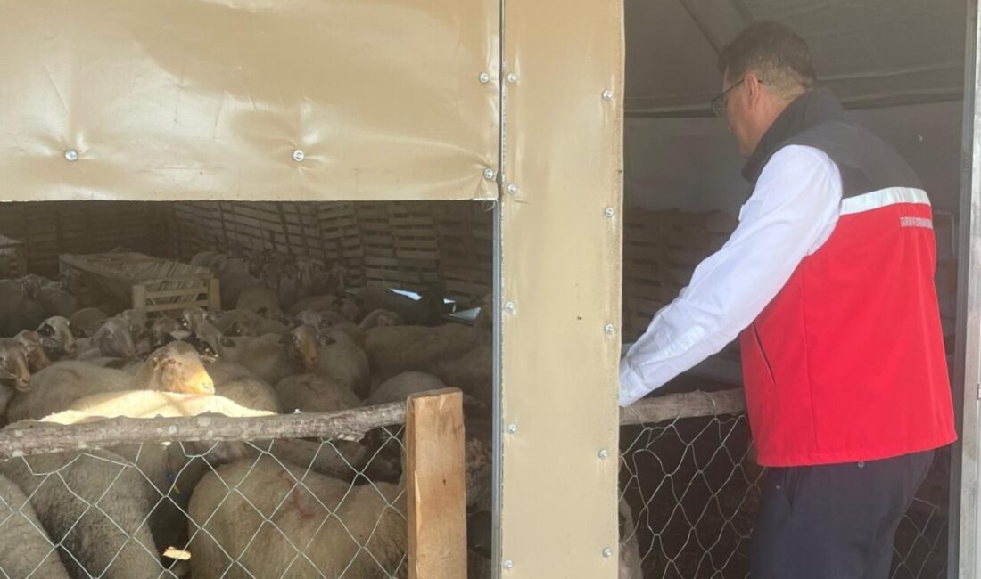 Tekirdağ Tarım ve Orman İl Müdürü Mehmet Aksoy, Kapaklı ilçesinde