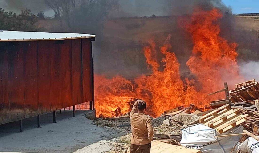 Tekirdağ’da bir palet fabrikasında büyük çaplı yangın meydana geldi. Yangın,