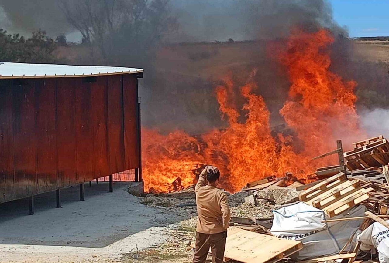 Tekirdağ’da bir palet fabrikasında büyük çaplı yangın meydana geldi. Yangın,