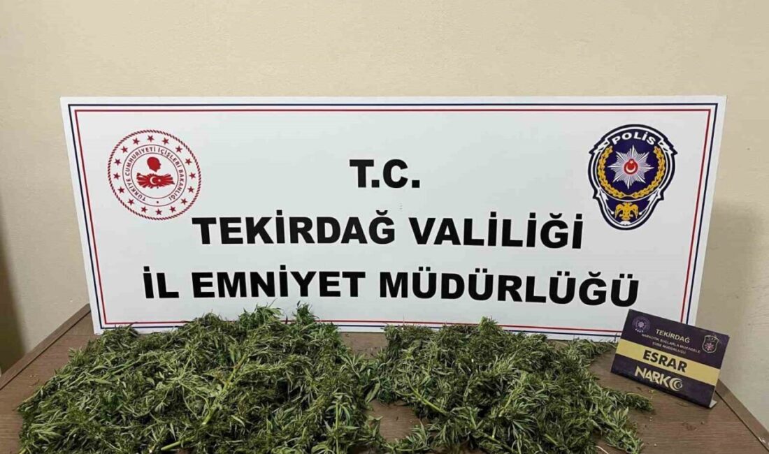 Tekirdağ’ın Çorlu ilçesinde polis ekiplerince düzenlenen uyuşturucu operasyonlarında çeşitli miktarlarda