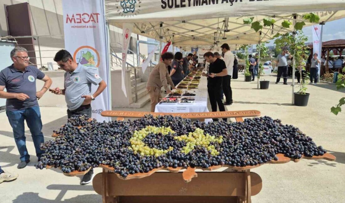 Tekirdağ Bağcılık Araştırma Enstitüsü Müdürlüğünde düzenlenen etkinlikte onlarca yeni üzüm