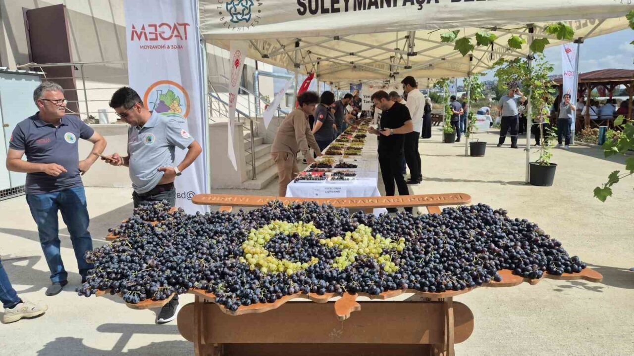 Tekirdağ Bağcılık Araştırma Enstitüsü Müdürlüğünde düzenlenen etkinlikte onlarca yeni üzüm