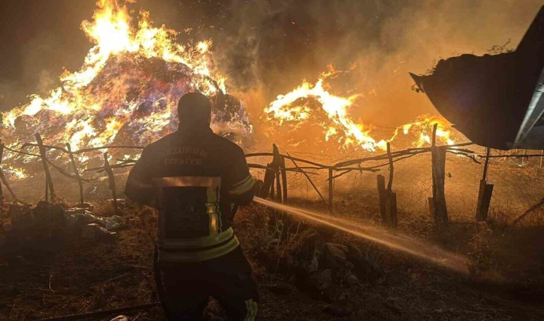 Erzurum’un Tekman ilçesinde çıkan ot yangınında 2 bin 500 balya