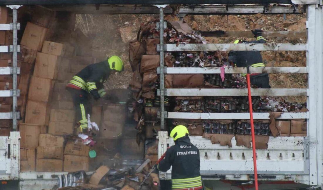 TEM Otoyolu’nun Bolu geçişinde züccaciye ürünü yüklü kamyonun dorsesinde çıkan