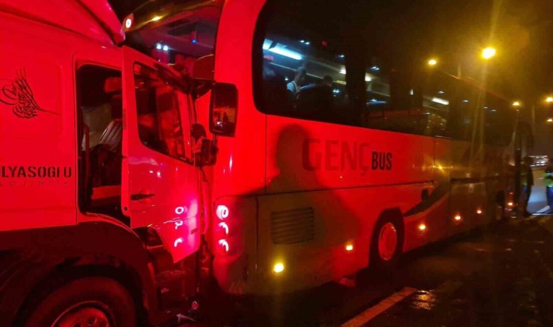 TEM Otoyolu’nun Bolu geçişinde lastiği patladığı için orta şeritte durmak